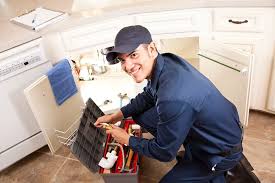 Best Garbage Disposal Repair and Installation  in Nashvle, IL